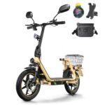 TWOFISH Elektroroller mit Straßenzulassun (EEC), E Scooter mit 500W Motor 48V 13Ah Akku für Erwachsene, 14 Zoll Reifen 30 km Reichweite bis 120kg, Duale Aufhängung