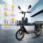 TWOFISH Elektroroller mit Straßenzulassun (EEC), E Scooter mit 500W Motor 48V 13Ah Akku für Erwachsene, 14 Zoll Reifen 30 km Reichweite bis 120kg, Duale Aufhängung
